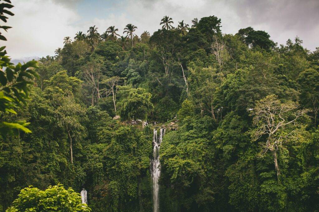 Sekumpul Waterfall, Bali, Indonesia