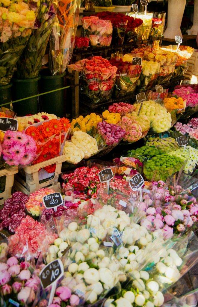 Cours Saleya Flower Market