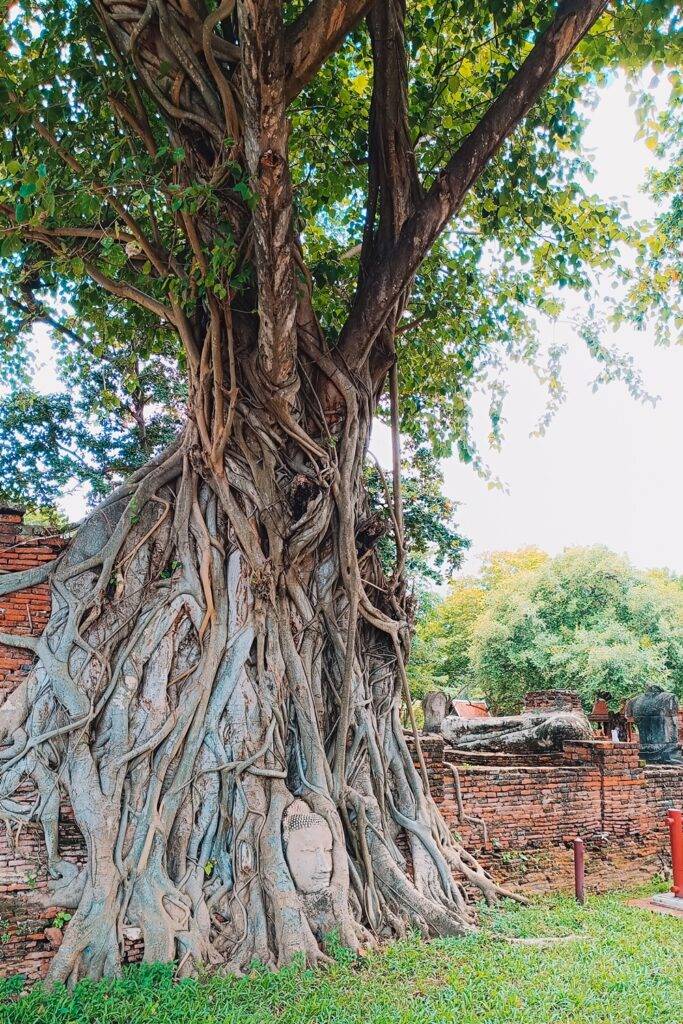 Wat Mahathat, Ayutthaya