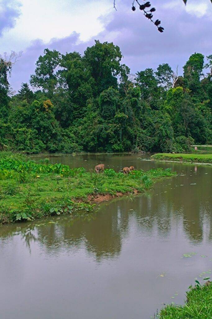 Khao Yai National Park