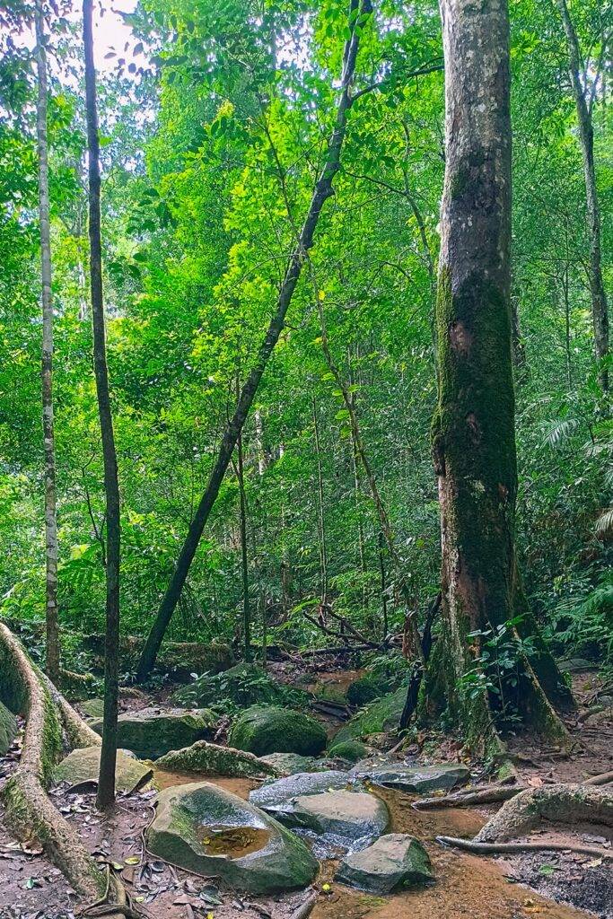 Khao Yai National Park