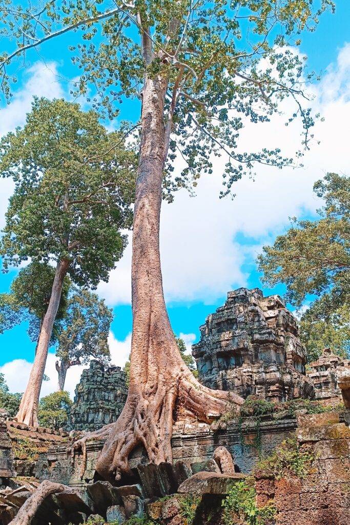 Ta Prohm Temple