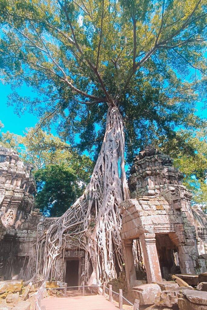 Ta Prohm Temple