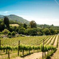 Sonoma, CA