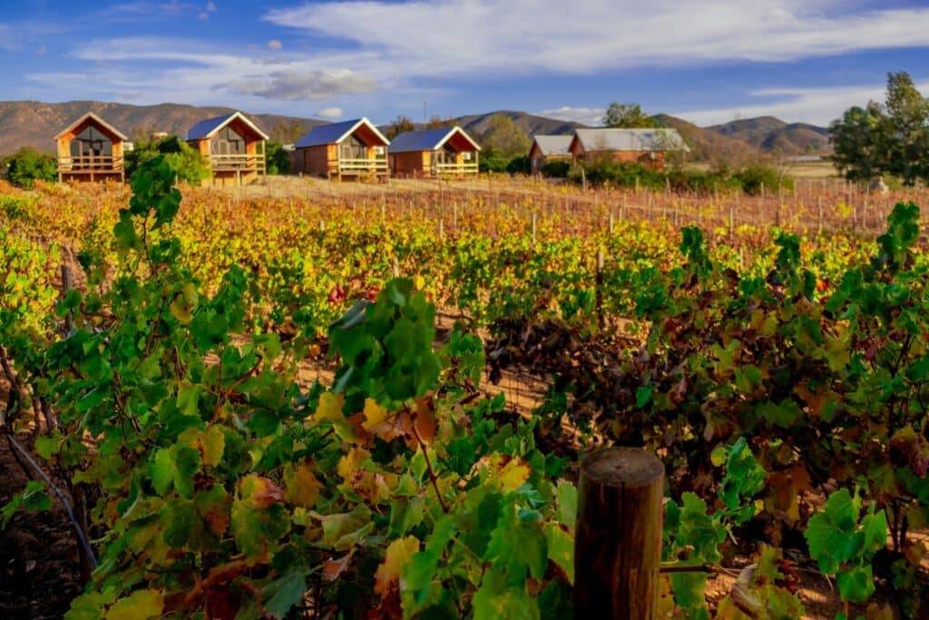 Valle de Guadalupe, Mexico