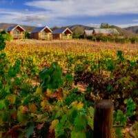 Valle de Guadalupe, Mexico