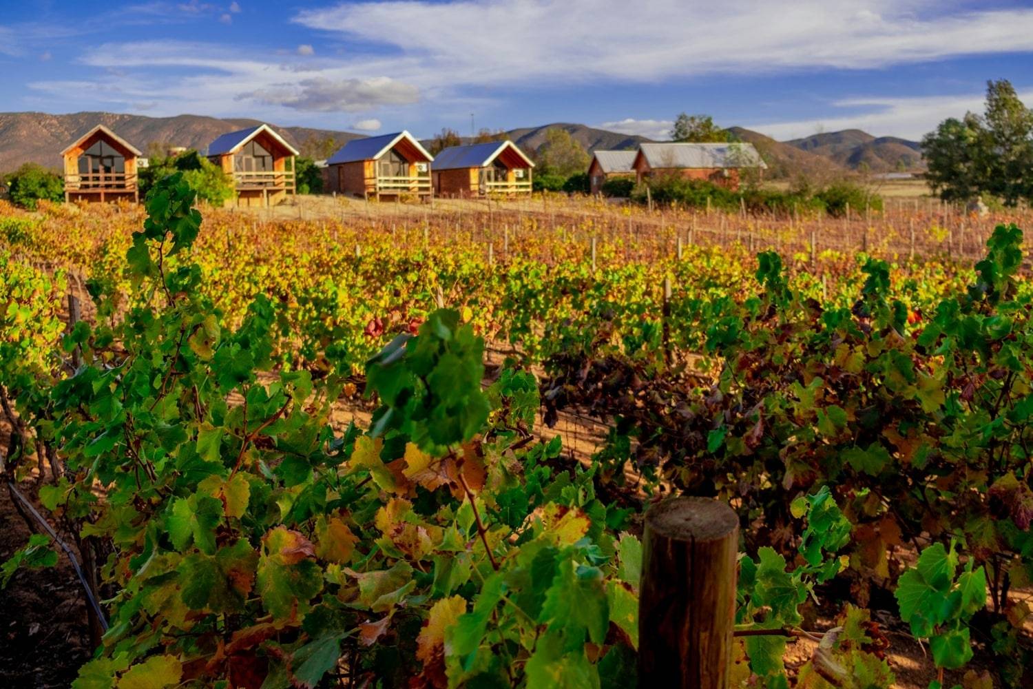 Valle de Guadalupe, Mexico