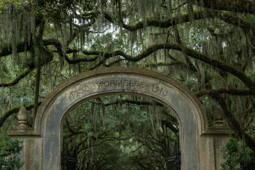 Cemetery in Savannah