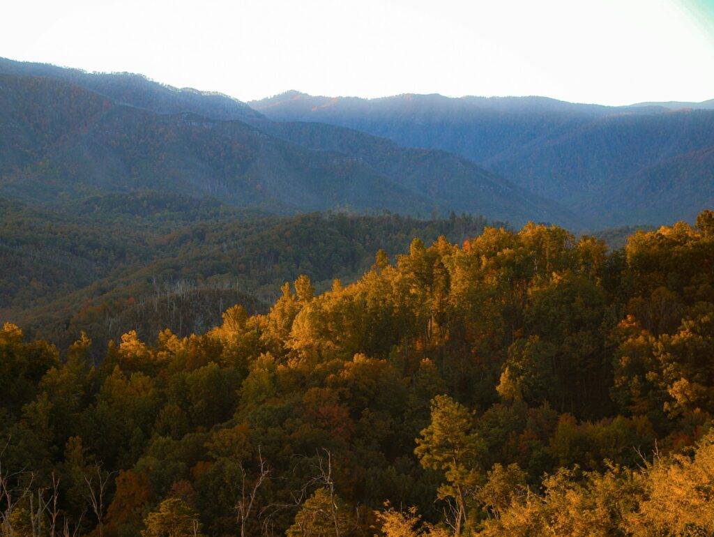 Great Smoky Mountains National Park in the Fall