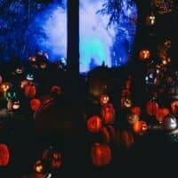 Pumpkin Patch of Jack-O-Lanterns