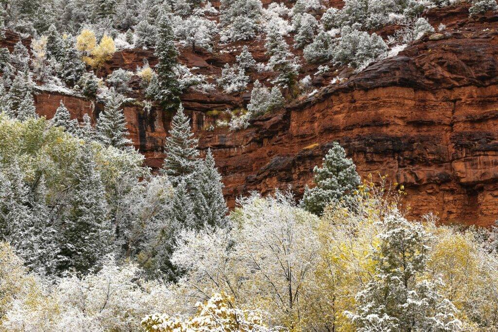 Telluride in winter