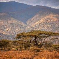 Ngorongoro, Tanzania