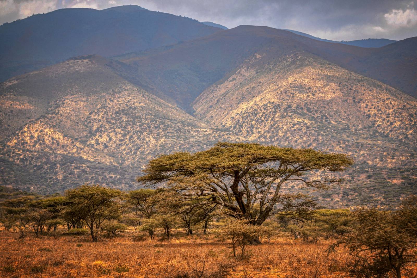 Ngorongoro, Tanzania