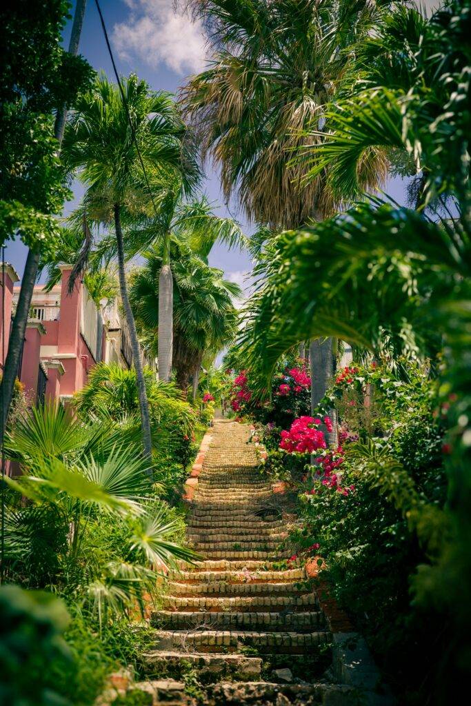 Tropical street in St. Thomas
