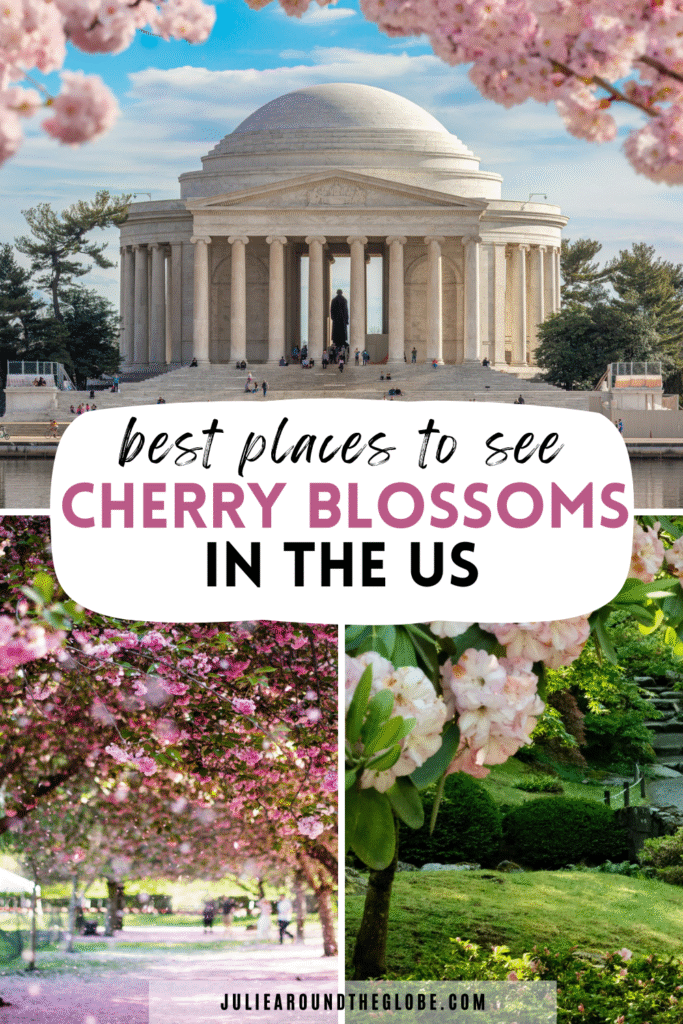 10 Best Places in the US to See Cherry Blossoms