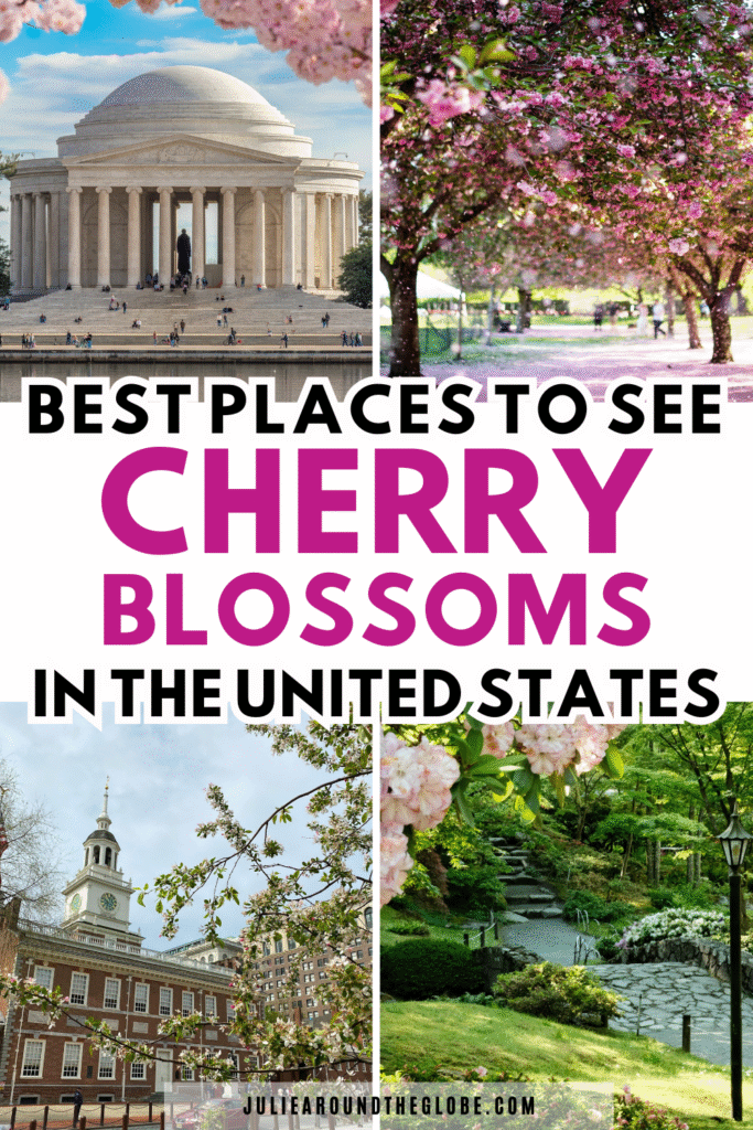 10 Best Places in the US to See Cherry Blossoms