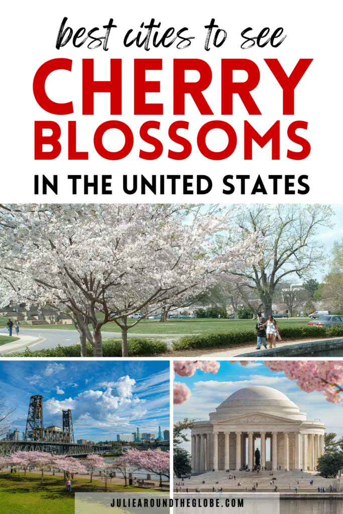 10 Best Places in the US to See Cherry Blossoms