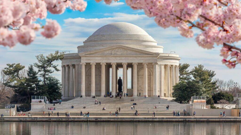 Cherry Blossoms at Jefferson Memorial, Washington DC