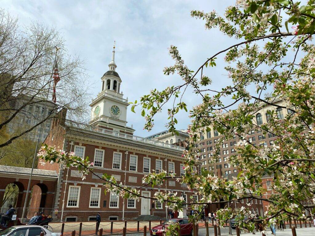 Cherry trees around Independence Hall, Philadelphia