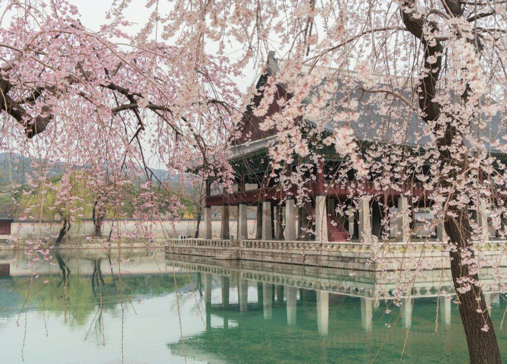 Gyeongbokgung Palace in Spring, Seoul, South Korea