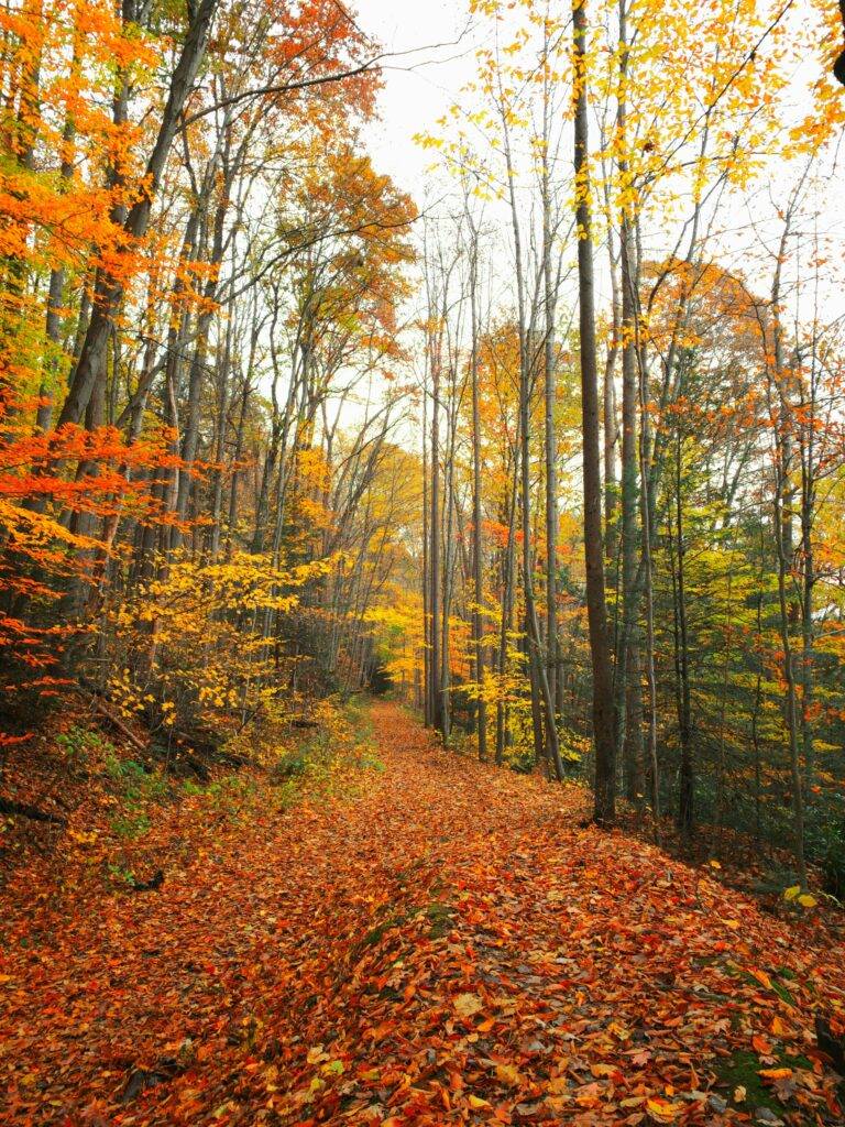 Hiking in the fall at Ohiopyle State Park, PA