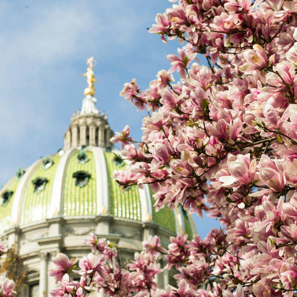 Pennsylvania State Capitol, Harrisburg, United States