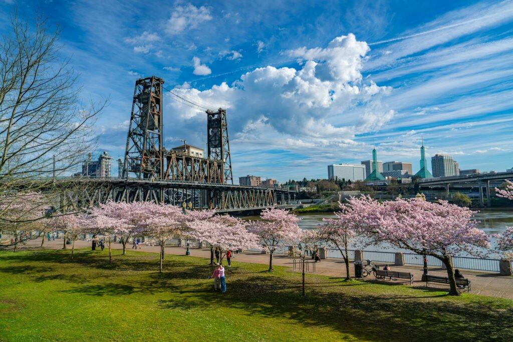 Portland’s Tom McCall Waterfront Park in full springtime bloom