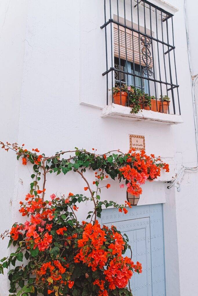 Vejer de la Frontera