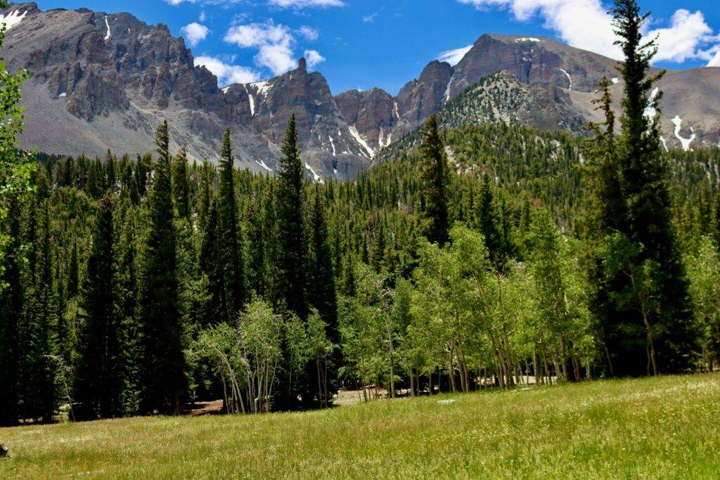 Great Basin National Park, Nevada, USA