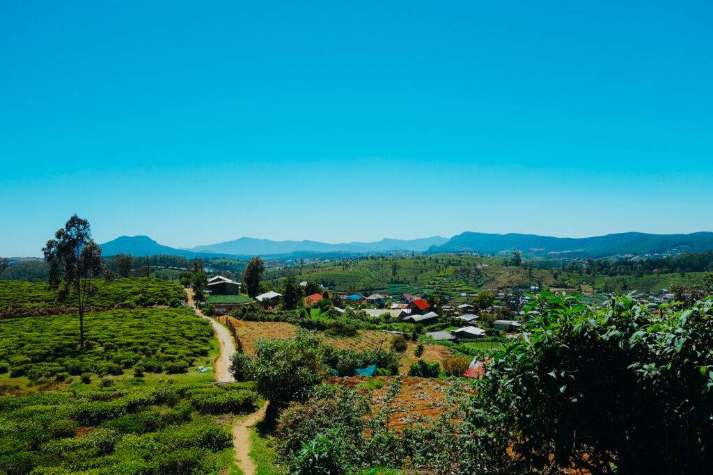 Countryside near Nuwara Eliya (2)