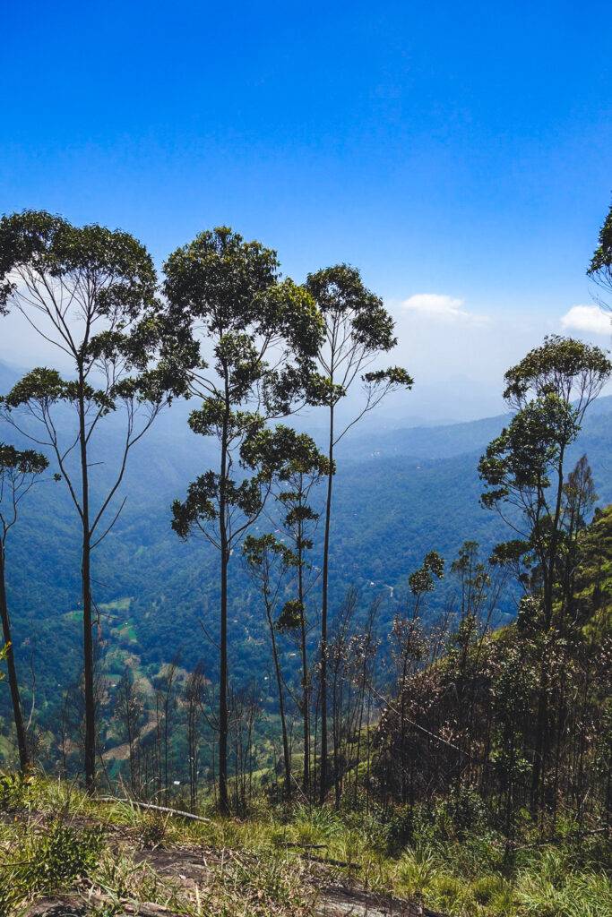 Ella Rock, Sri Lanka