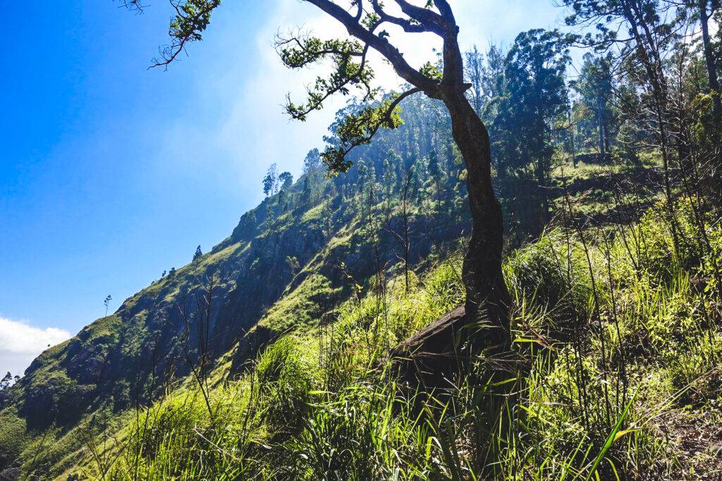 Hike to Little Adam's Peak