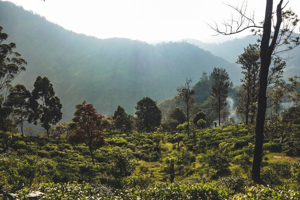 Little Adam's Peak, Sri Lanka