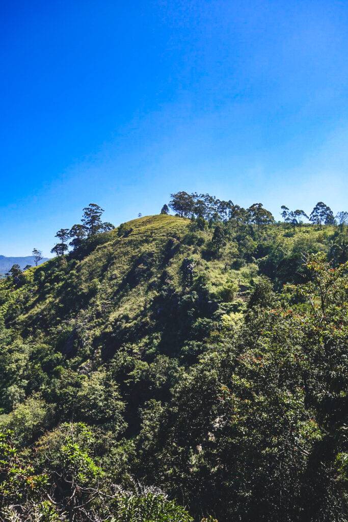 On the way to the Nine Arches Bridge in Ella, Sri Lanka (2)