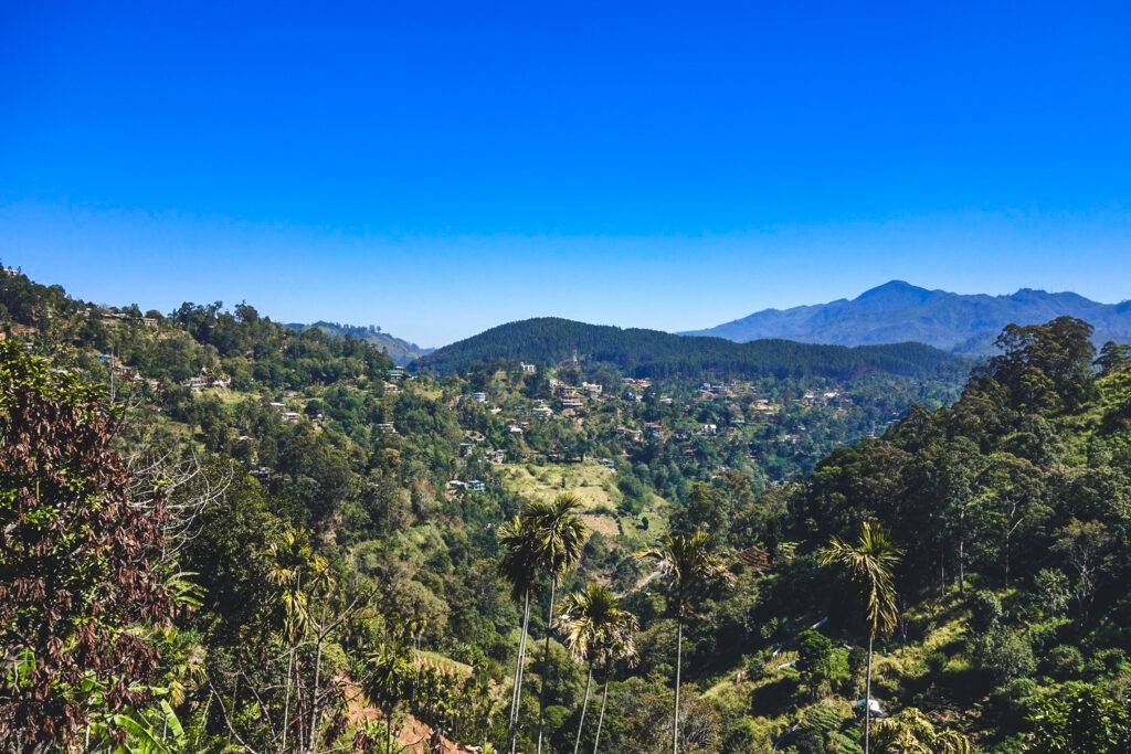 On the way to the Nine Arches Bridge in Ella, Sri Lanka (3)