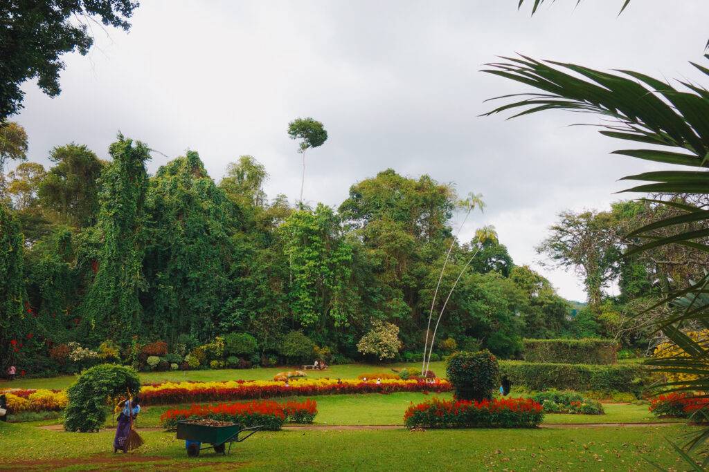 Royal Botanical Gardens, Kandy