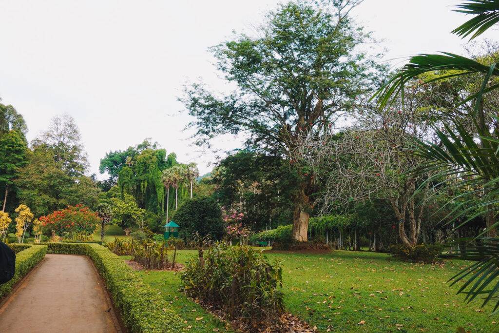 Royal Botanical Gardens, Kandy
