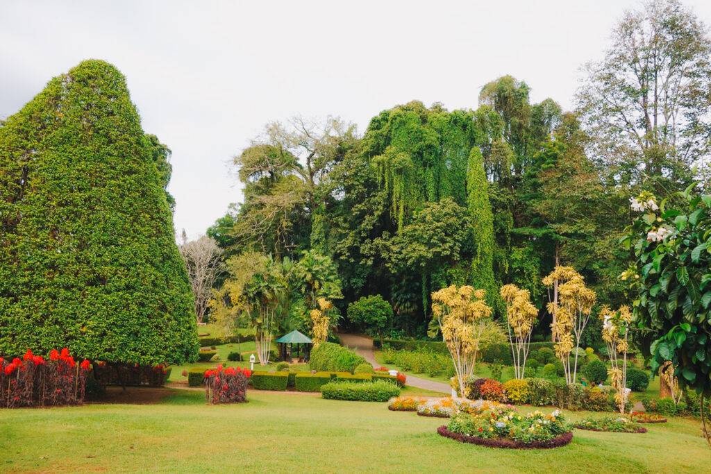 Royal Botanical Gardens, Kandy