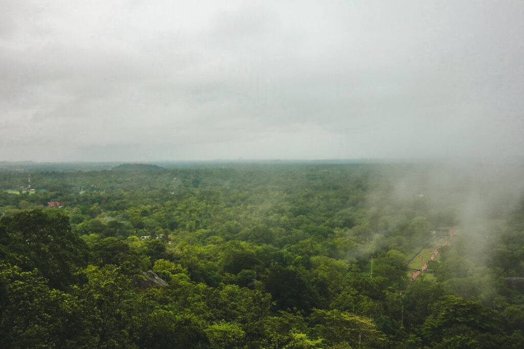 View from the top of Sigiriya Rock, Sri Lanka