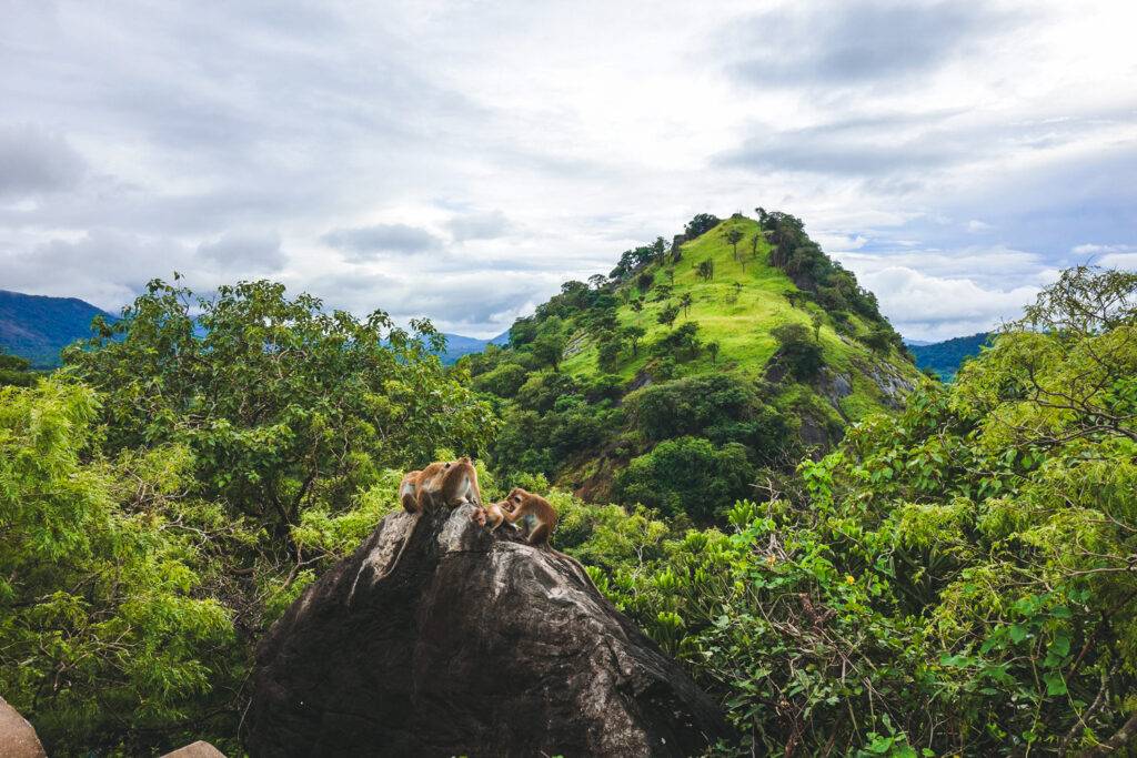 Views from Dambulla Cave Temple, Sri Lanka