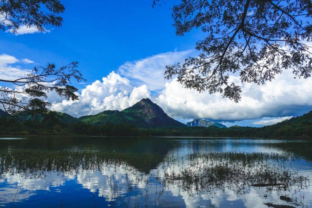Bowatenne Tank, Sri Lanka